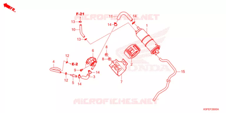 KOOLSTOFBUS Honda MOTO 125 MONKEY 2024  Z125MAN