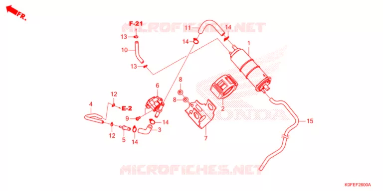 KOOLSTOFBUS Honda MOTO 125 MONKEY 2022  Z125MAN