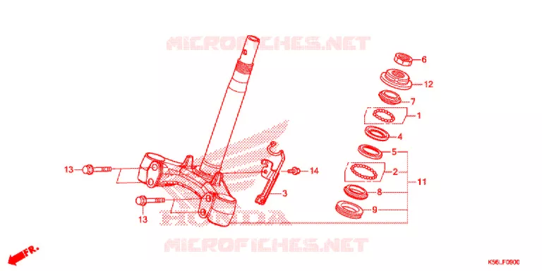 STURING STANG Honda SCOOTER 150 WINNER 2021  FS150FAM_V