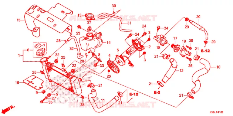 RADIATOR Honda SCOOTER 150 WINNER 2020  FS150FL_V