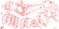 RADIATOR voor Honda FOURTRAX 520 RUBICON 4X4 AT DCT 2022