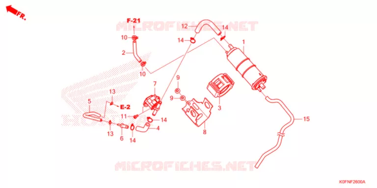 KOOLSTOFBUS Honda MOTO 125 MONKEY 2022  Z125MAN
