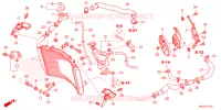 RADIATOR voor Honda CBR 600 RR 2021
