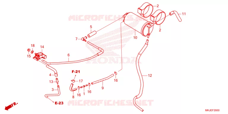 KOOLSTOFBUS Honda MOTO 1000 CB 2023  CB1000RAP