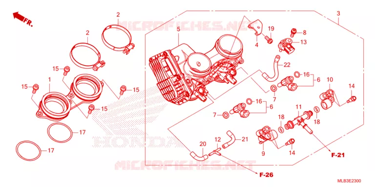 GAS HUIS Honda MOTO 750 HORNET 2024  CB750AP