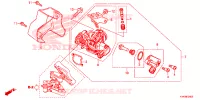 GAS HUIS voor Honda CRF 110 2023