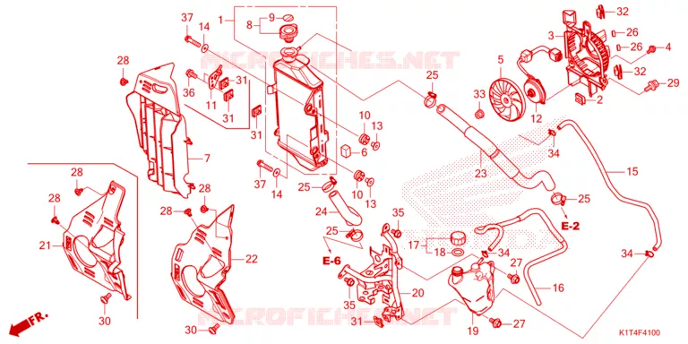 RADIATOR Honda MOTO 300 CRF 2024  CRF300LN