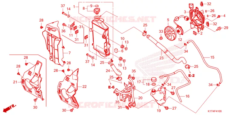 RADIATOR Honda MOTO 300 CRF 2023  CRF300LRAN