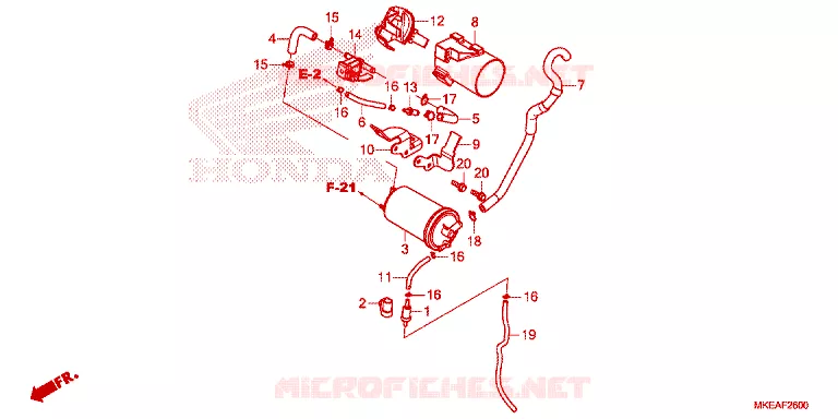 KOOLSTOFBUS Honda MOTO 450 CRF 2024  CRF450RLN