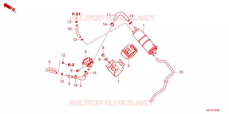 KOOLSTOFBUS Honda MOTO 125 MONKEY 2022  Z125MAN