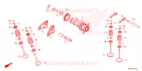 NOKKENAS/KLEP voor Honda CRF 450 RX ENDURO 2023