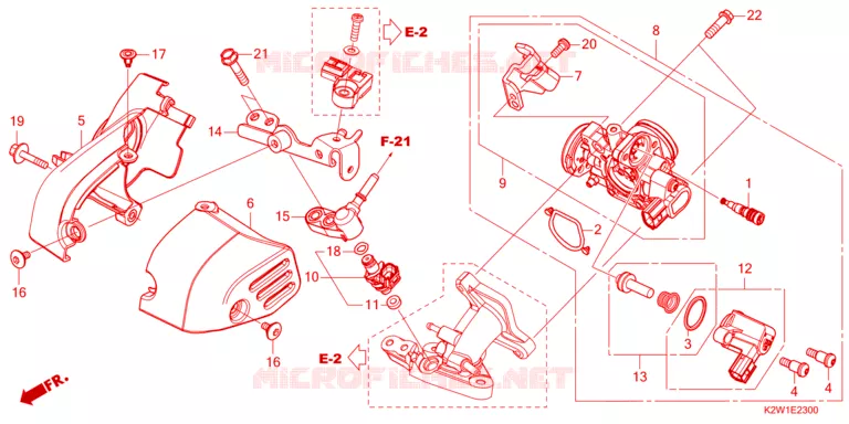 GAS HUIS Honda MOTO 125 DAX 2024  ST125AP