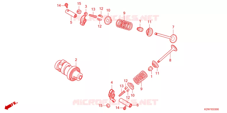 NOKKENAS/KLEP Honda MOTO 125 DAX 2024  ST125AP