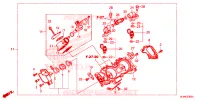 GAS HUIS voor Honda TALON 1000 R SPECIAL EDITION 2021