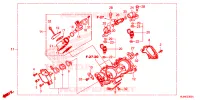 GAS HUIS voor Honda TALON 1000 X 2023