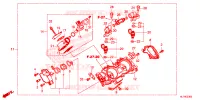 GAS HUIS voor Honda TALON 1000 X4 SPECIAL EDITION 2021