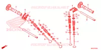 NOKKENAS/KLEP voor Honda REBEL 500 2023