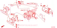 VERDAMPING BUS voor Honda REBEL 500 2023