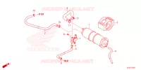 KOOLSTOFBUS voor Honda MSX 125 SPECIAL 2023