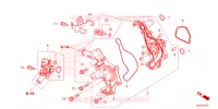 WATERPOMP voor Honda FORZA 125 SPECIAL 2023