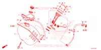 BRANDSTOF TANK  voor Honda FORZA 125 2023