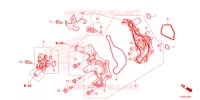 WATERPOMP voor Honda FORZA 125 2023