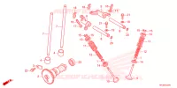 NOKKENAS/KLEP voor Honda FOURTRAX 420 RANCHER 4X4 Manual Shift 2022