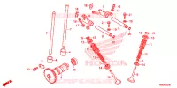 NOKKENAS/KLEP voor Honda FOURTRAX 520 RUBICON IRS EPS 2022