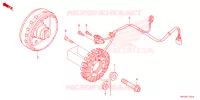 ALTERNATORE voor Honda FOURTRAX 520 RUBICON IRS EPS 2023