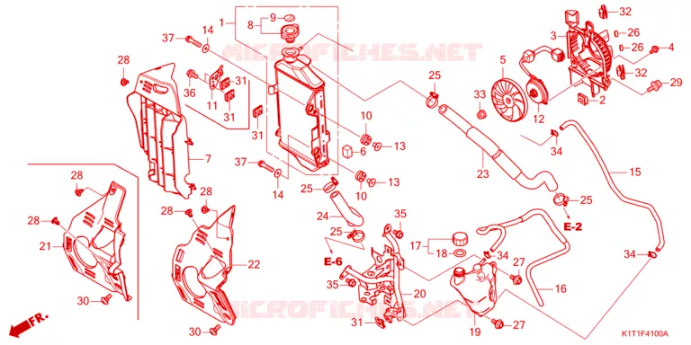 RADIATOR Honda MOTO 250 CRF 2023  CRF250LRAP