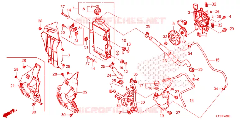 RADIATOR Honda MOTO 300 CRF 2024  CRF300LP
