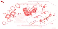 GAS HUIS voor Honda XL 750 TRANSALP -2ED- 2023