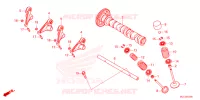 NOKKENAS/KLEP voor Honda XL 750 TRANSALP -2ED- 2023