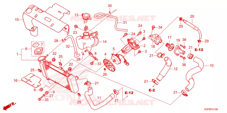 RADIATOR Honda MOTO 150 RS 2024  FS150FAP_MA