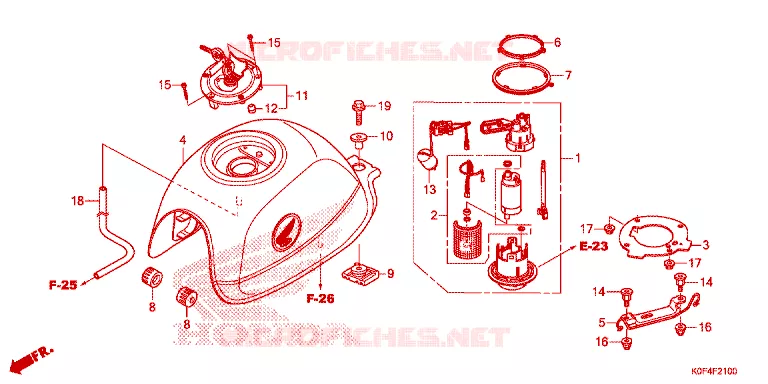 BRANDSTOF TANK  Honda MOTO 125 MONKEY 2020  Z125MAL