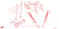 NOKKENAS/KLEP voor Honda FOURTRAX 520 FOREMAN 4X4 ES PS 2023