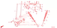 NOKKENAS/KLEP voor Honda FOURTRAX 520 RUBICON DCT IRS EPS 2023