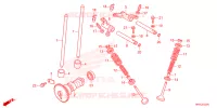 NOKKENAS/KLEP voor Honda FOURTRAX 520 FOREMAN RUBICON 4X4 EPS 2024
