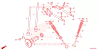 NOKKENAS/KLEP voor Honda FOURTRAX 520 FOREMAN RUBICON 4X4 EPS 2024