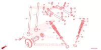 NOKKENAS/KLEP voor Honda FOURTRAX 520 RUBICON IRS EPS 2024