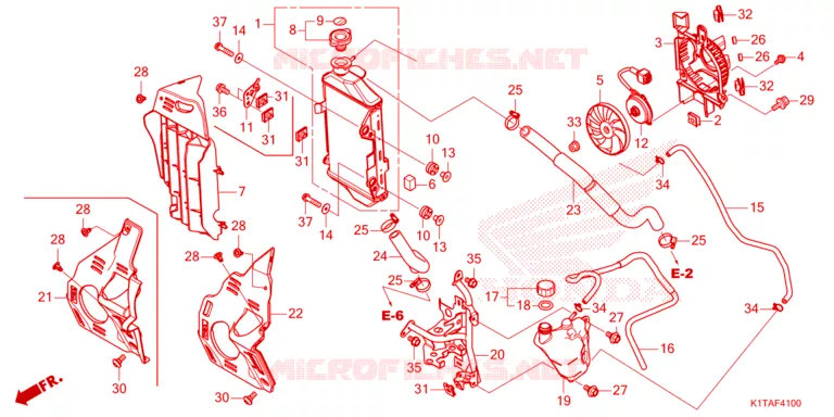 RADIATOR Honda MOTO 300 CRF 2024  CRF300LAP