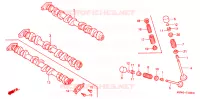NOKKENAS/KLEP voor Honda CBR 600 F 2001