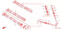 NOKKENAS/KLEP voor Honda CBR 600 F 2001