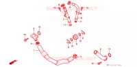WATERSLANG voor Honda AFRICA TWIN 750 2000