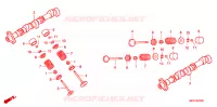 NOKKENAS/KLEP voor Honda GL 1800 GOLD WING ABS 2008