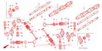 NOKKENAS/KLEP voor Honda GL 1500 GOLD WING SE 1993
