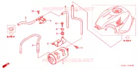 VERDAMPING BUS voor Honda CBR 600 F4 2001