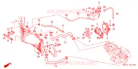 RADIATOR voor Honda CBR 600 F4 2005