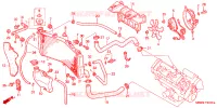 RADIATOR voor Honda CBR 600 F4 1999
