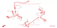 REMPEDAAL/SCHAKELPEDAAL voor Honda CBR 600 F4 1999
